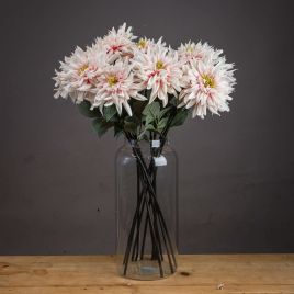 Lush Dahlia - Pink