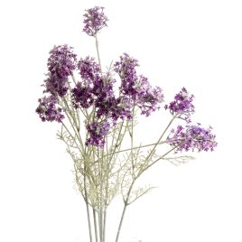 Meadow Flower - Purple