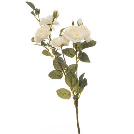 Soft Cottage Rose Stem - White