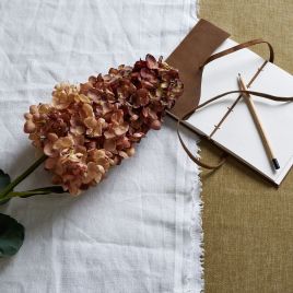 Spear Hydrangea - Burgundy