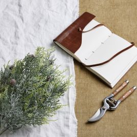 Brian Collection Frosted Pine Spray Stem With Pinecones