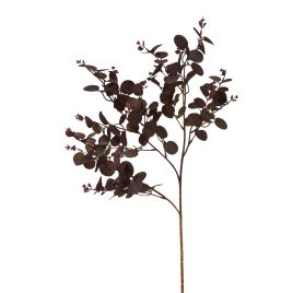 Burgo Eucalyptus Bunch