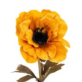 Blanor Yellow Anemone Stem