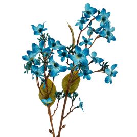 Blanor Blue Vernicia Fordii Spray