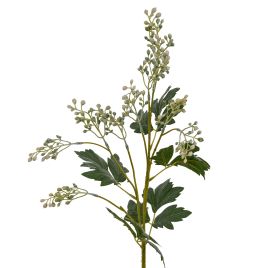 Milk Thistle Bud Spray