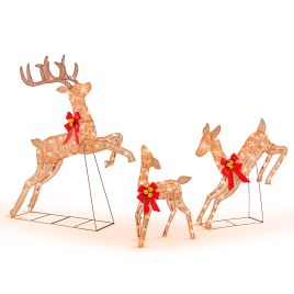 Lighted Christmas Reindeer - Set of 3
