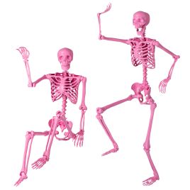 5.25ft Halloween Skeleton Decoration with 8 Moving Joints - Pink