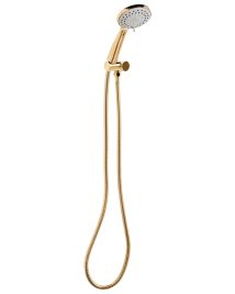 DALEWYN Shower Head and Hose Kit - Gold