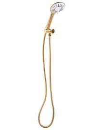 DALEWORTH Shower Head and Hose Kit - Gold