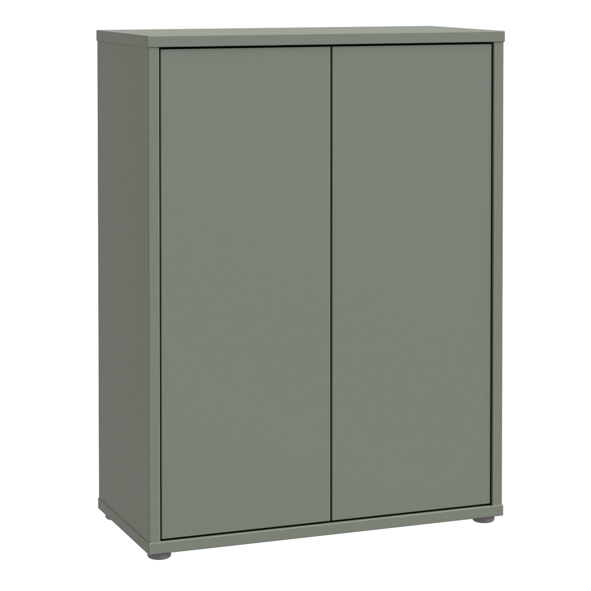 AVELINE Shoe Cabinet with 2 Push to Open Doors - Sage Green