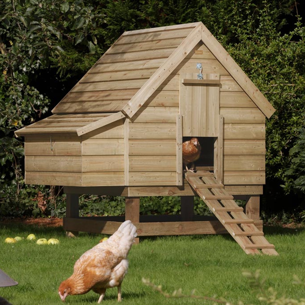 Country Style Chicken Coop with Multiple Boxes - Natural Timber Finish