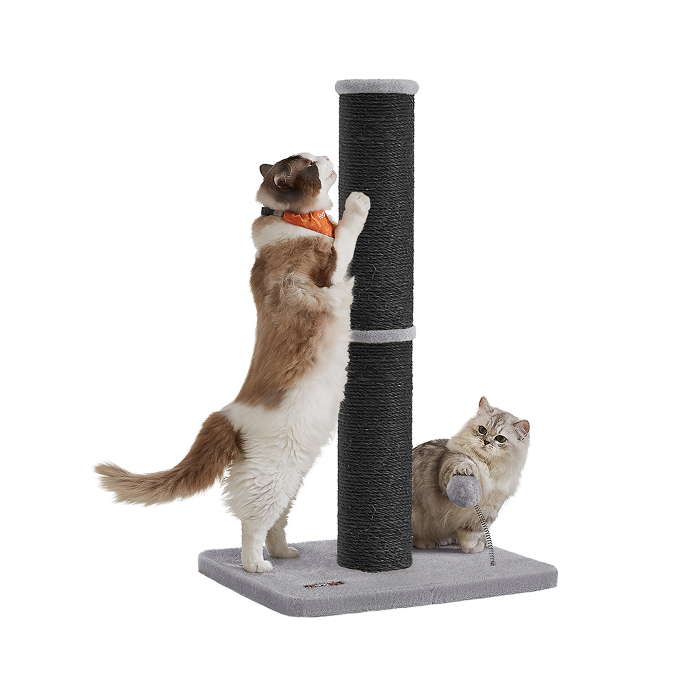 Cat Scratching Post - ZARNZA Tall Cat Scratcher with Sisal Rope - Black