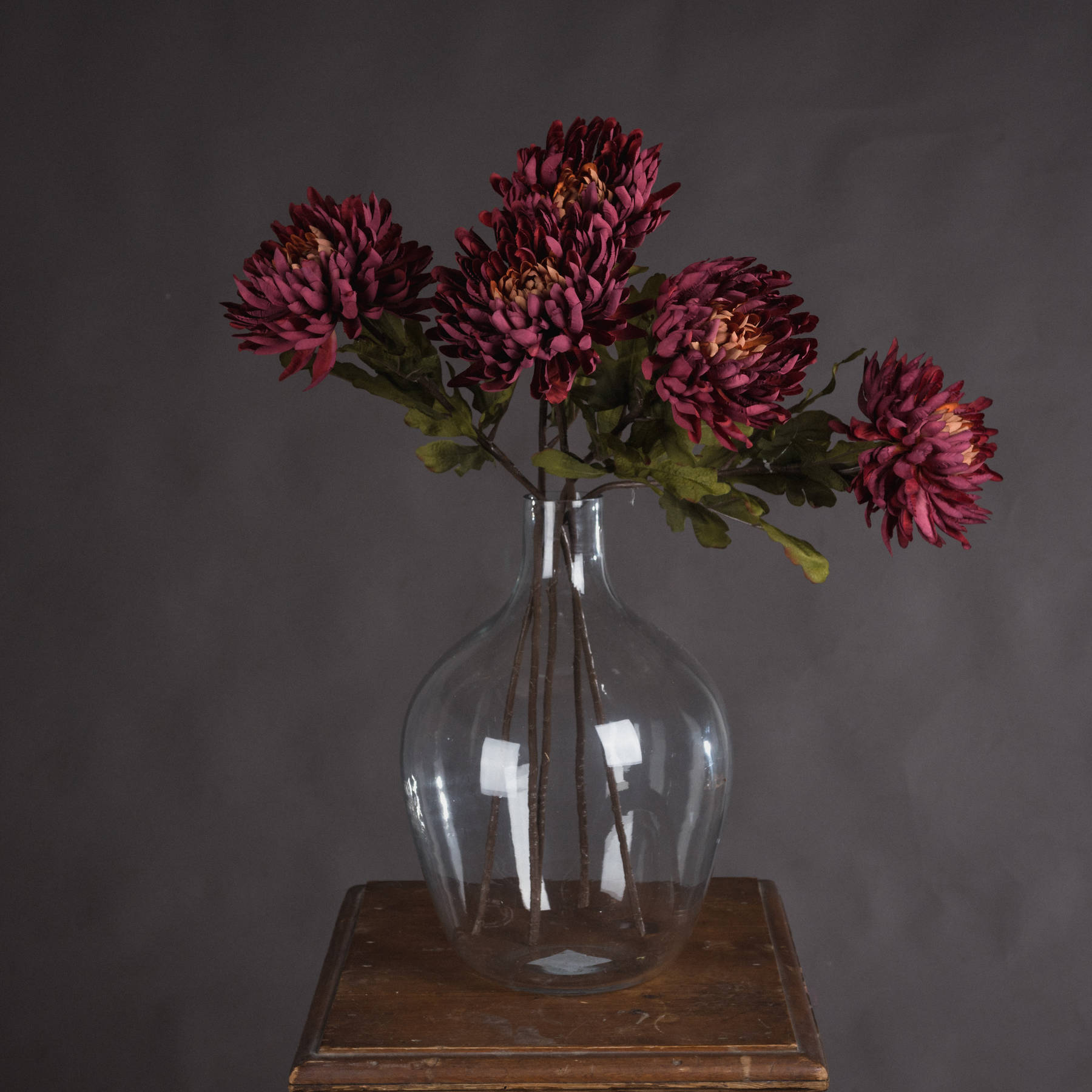 Autumn Spider Chrysanthemum - Purple