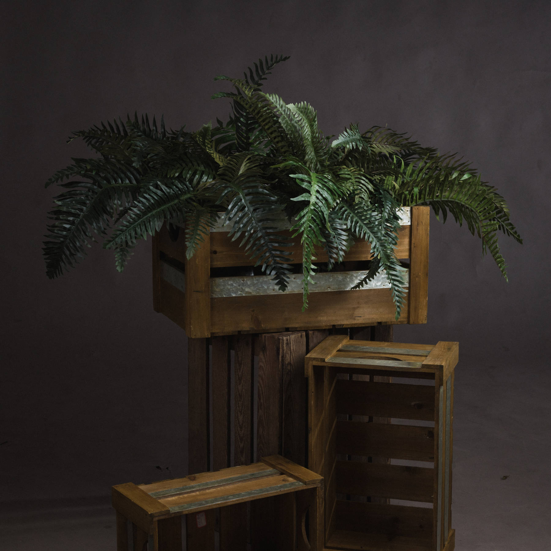 Fern Bunch - Green