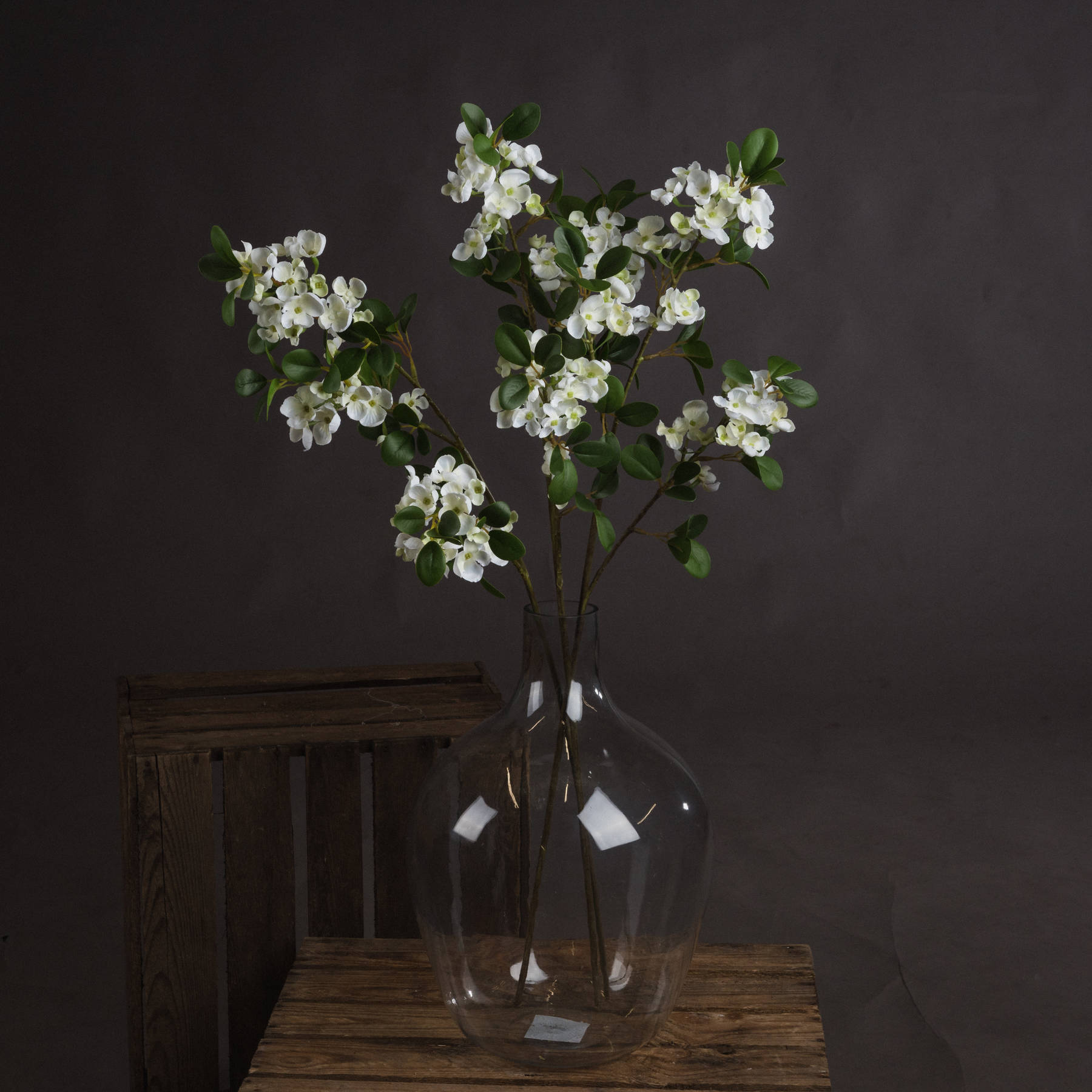Spring Mock Orange Flower - White