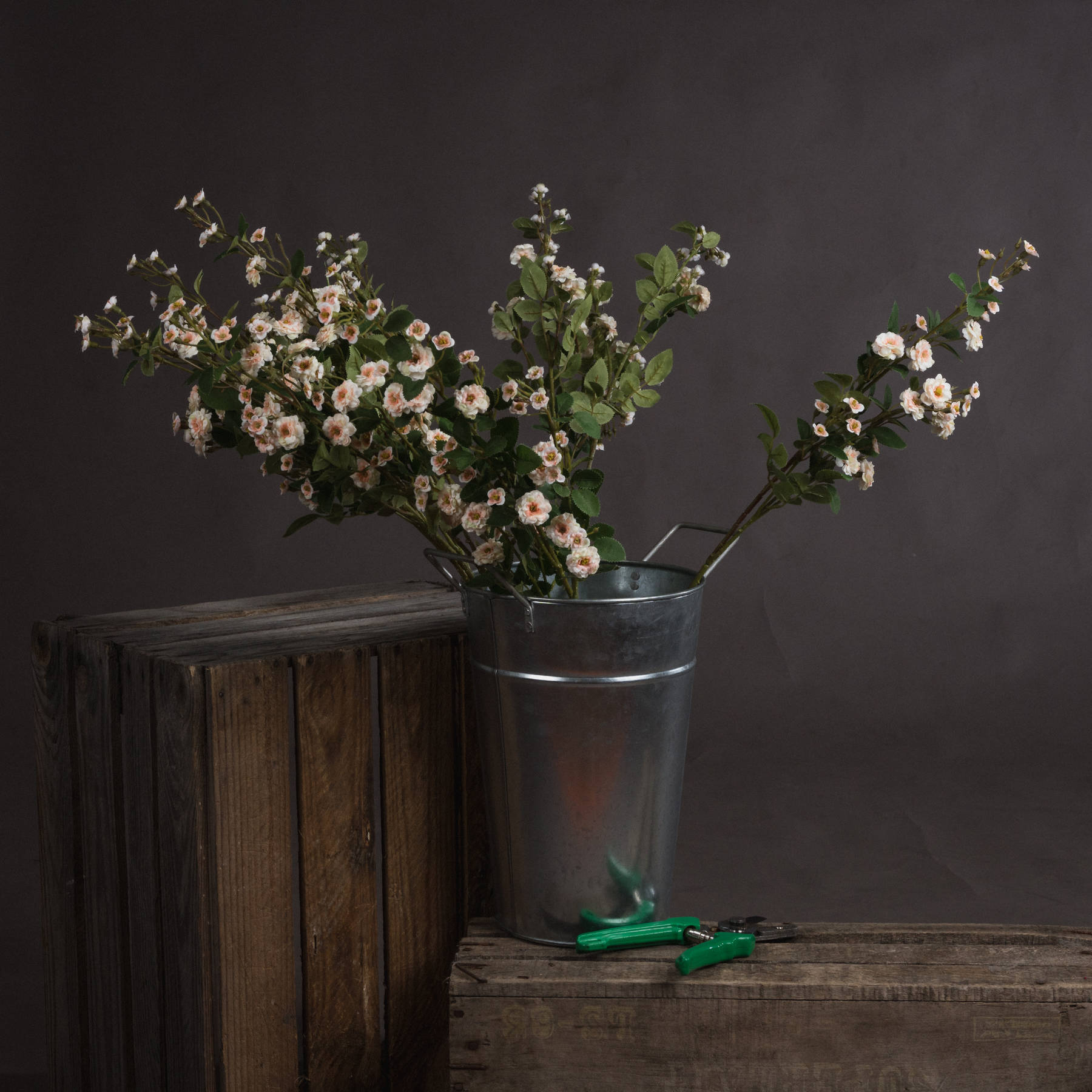 Wild Meadow Rose - Cream