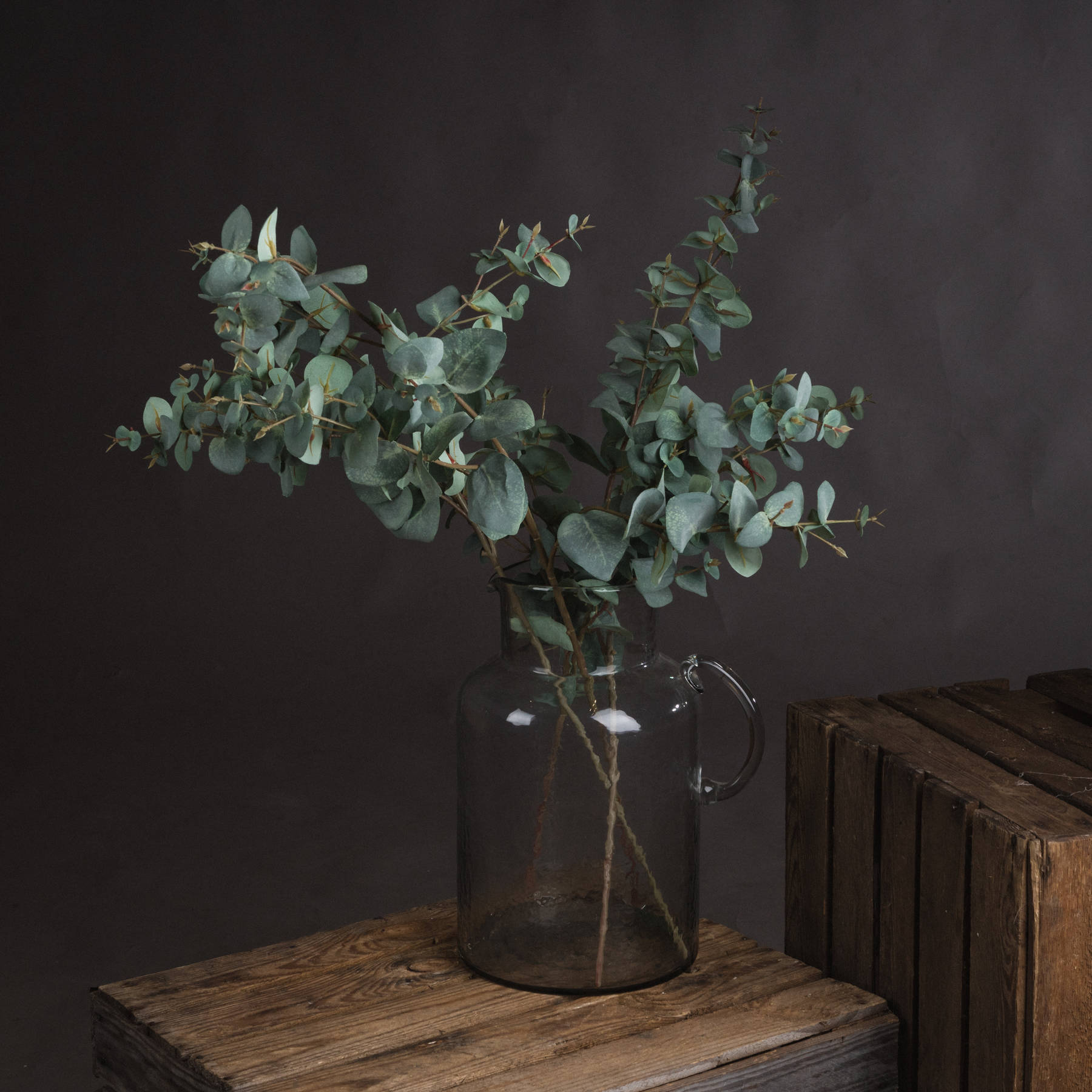 Variegated Eucalyptus - Green
