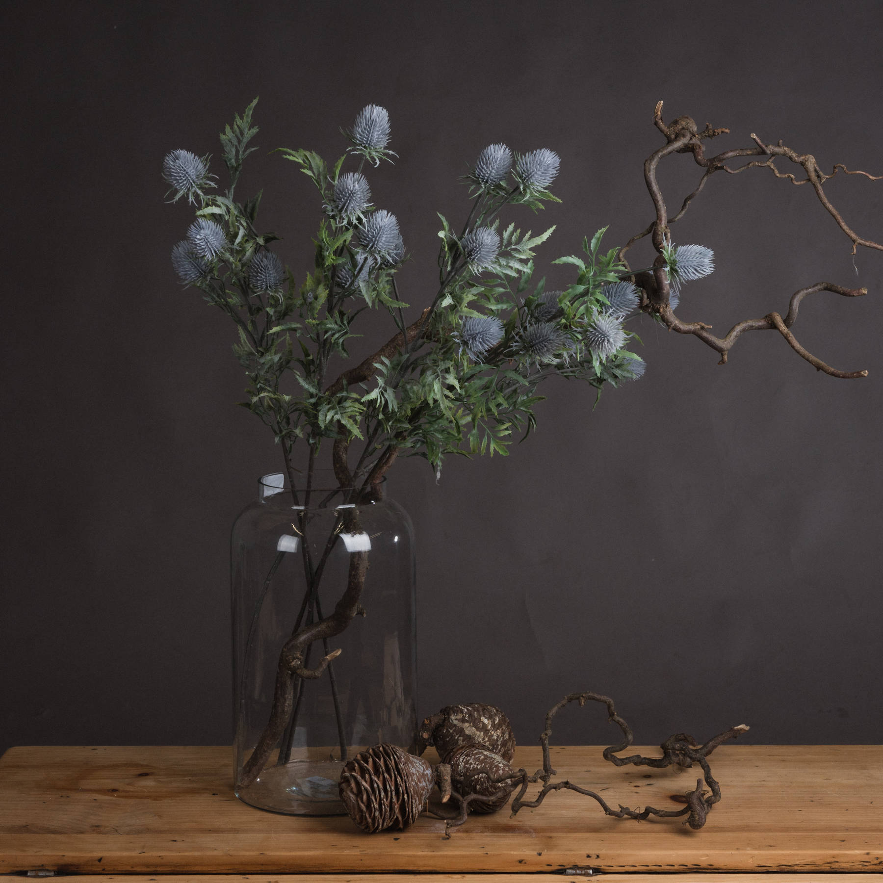 Eryngium Blue Thistle - Purple