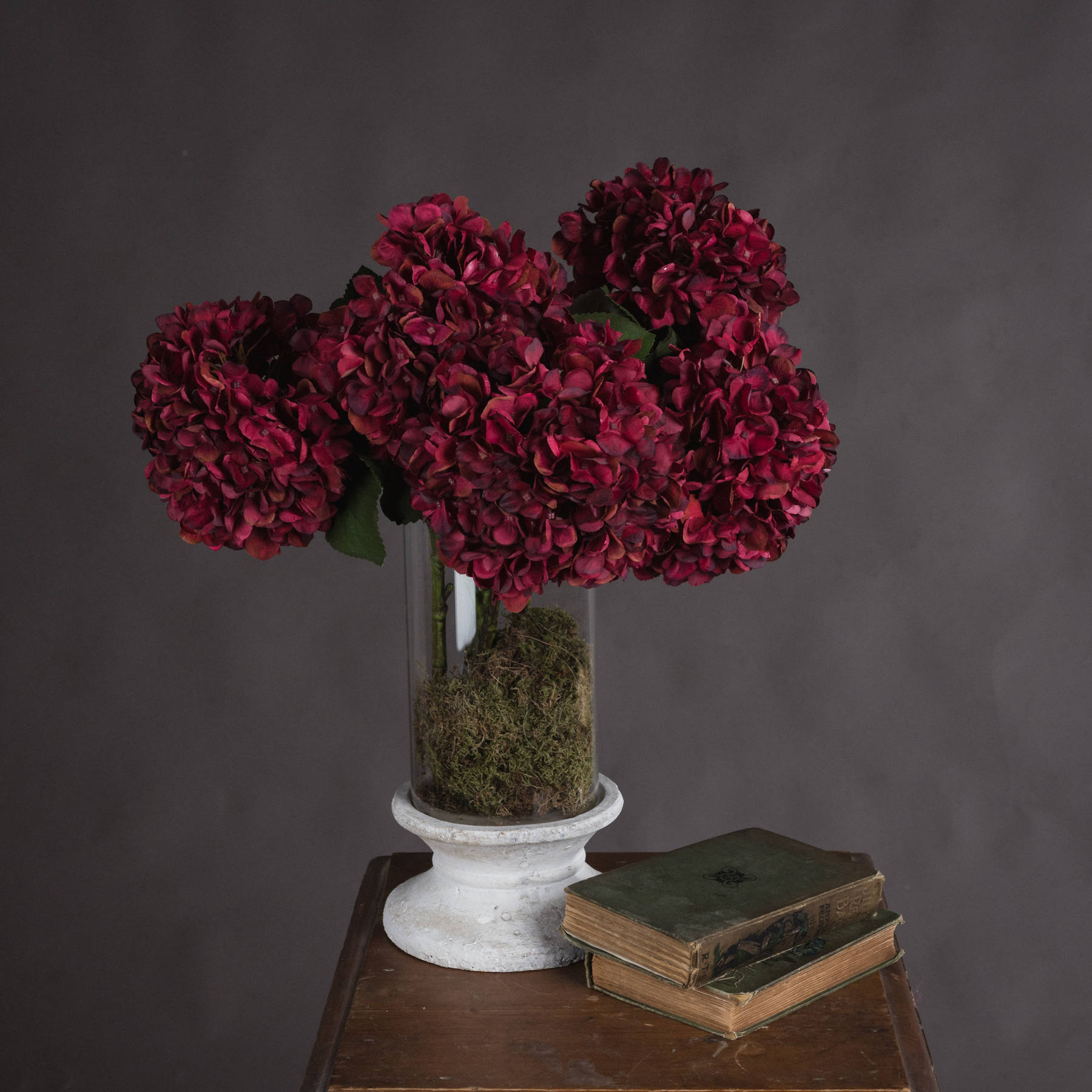 Autumn Ruby Hydrangea - Red