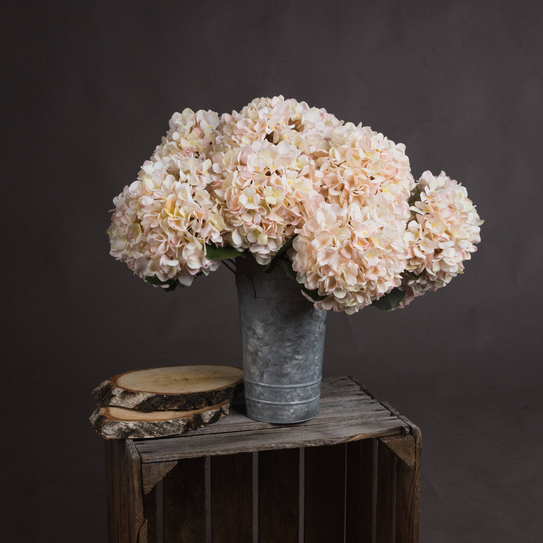 Autumn Hydrangea - White