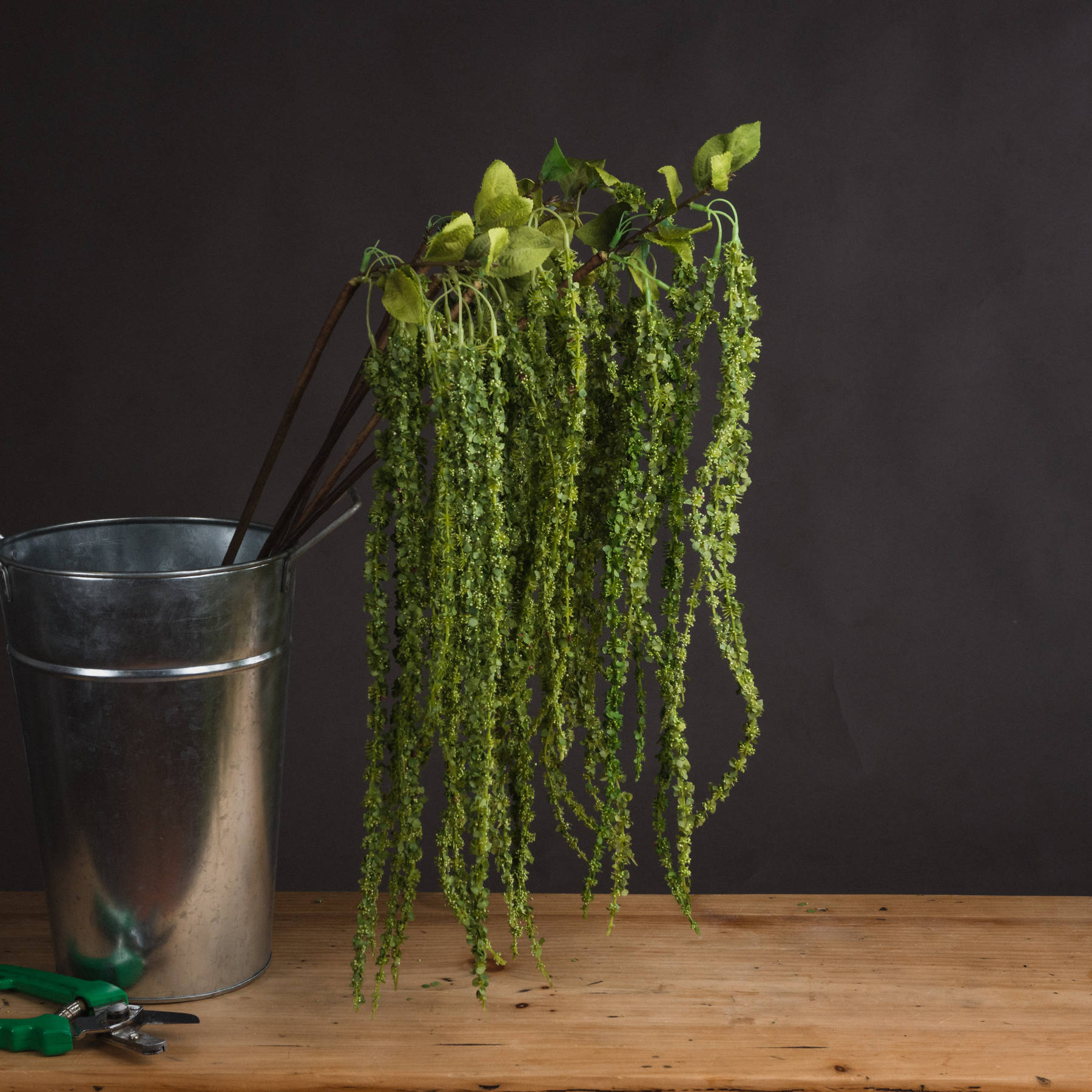 Green Plastic Amaranthus