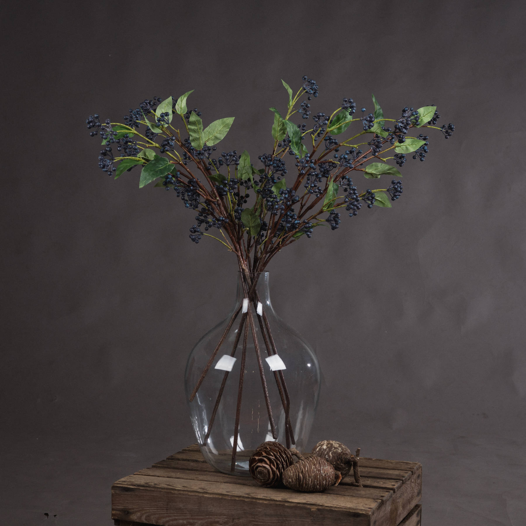 Viburnum Berry - Blue