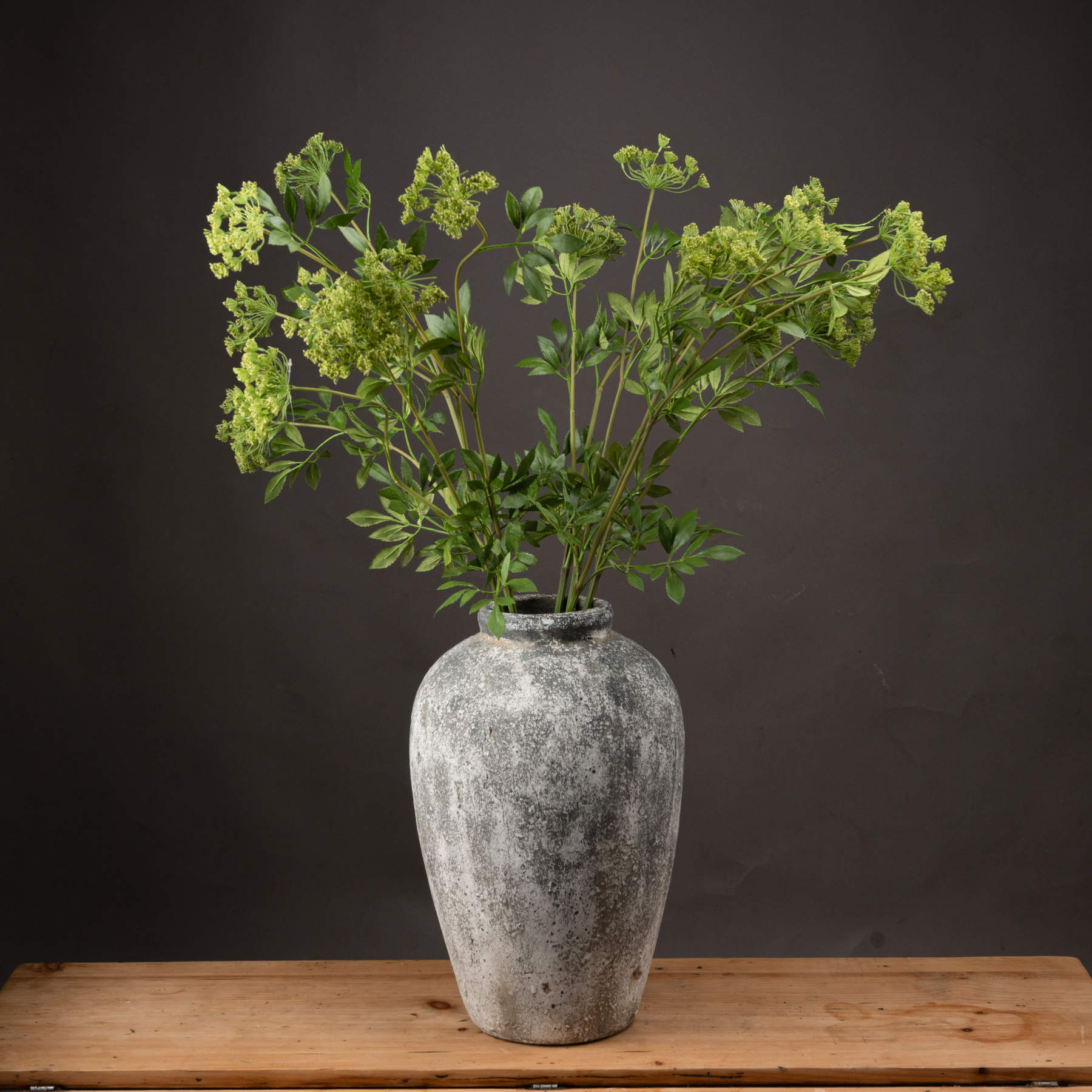 Faux Cow Parsley Ammi - Green