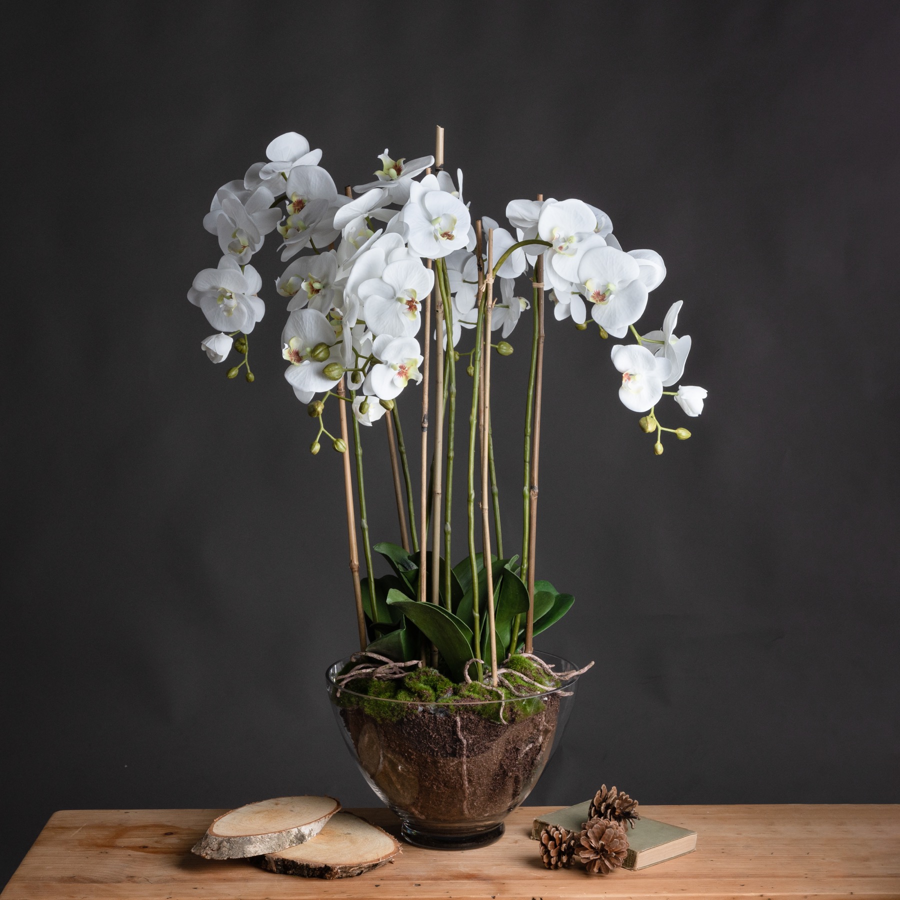 White Orchid In Glass Pot - Large
