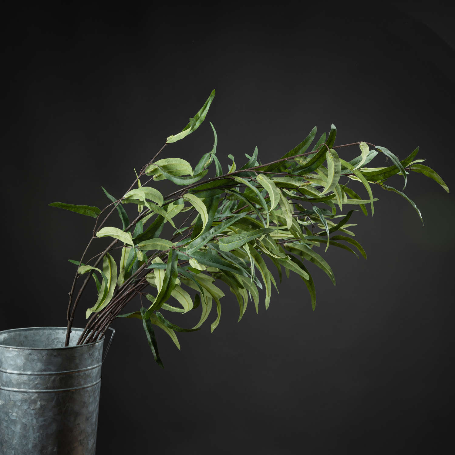 Eucalyptus Nicholii Spray - Green