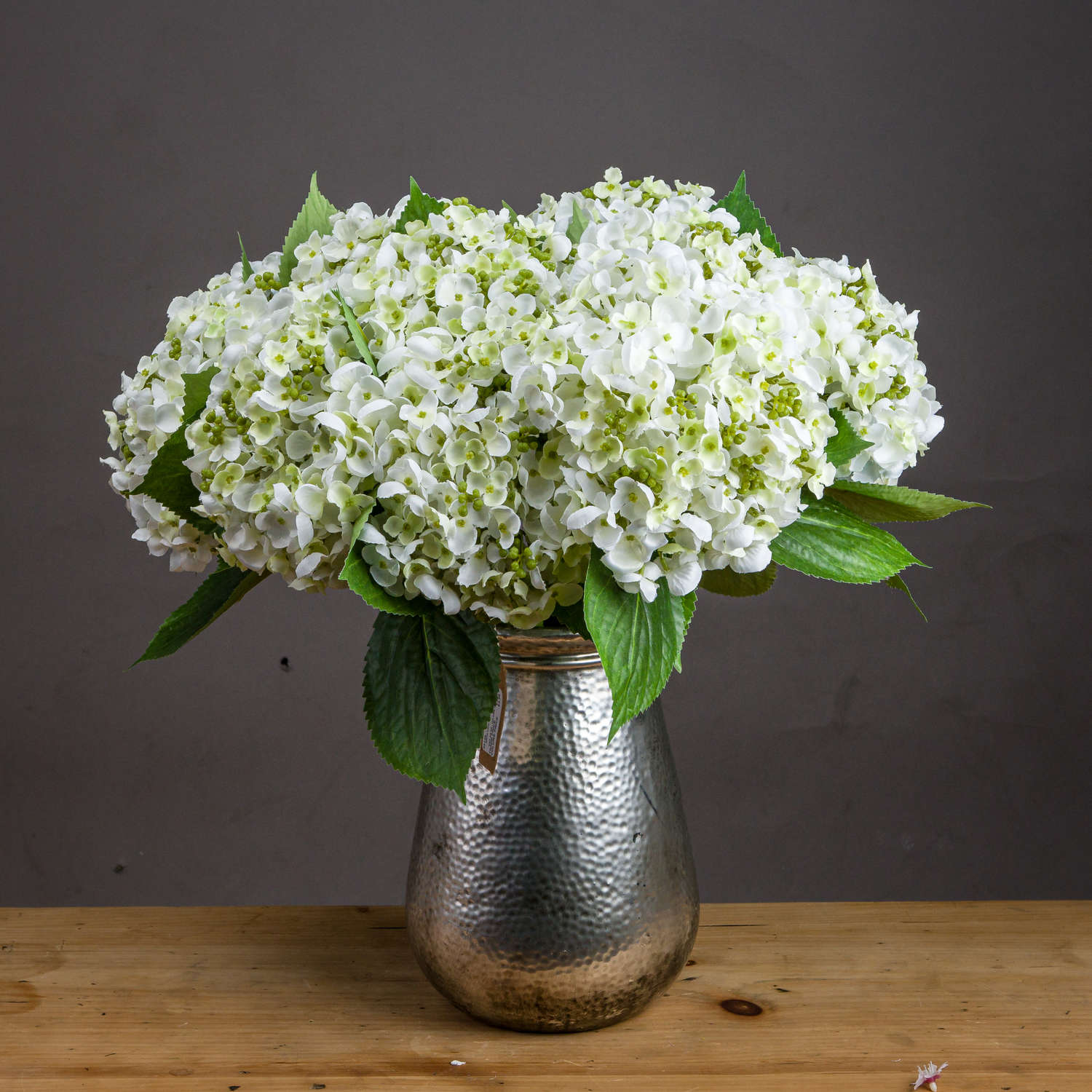 Lace Cap Hydrangea - White