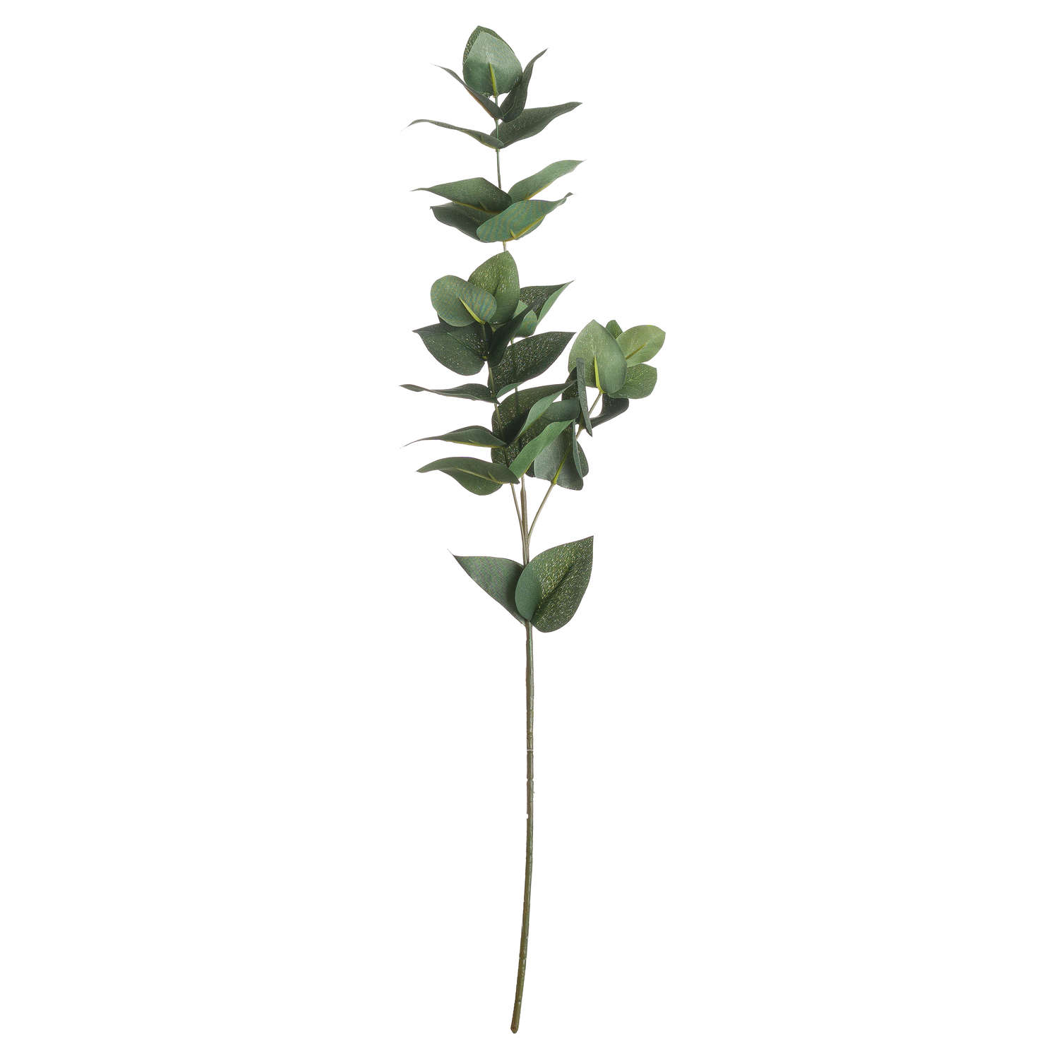 Eucalyptus Filler - Green