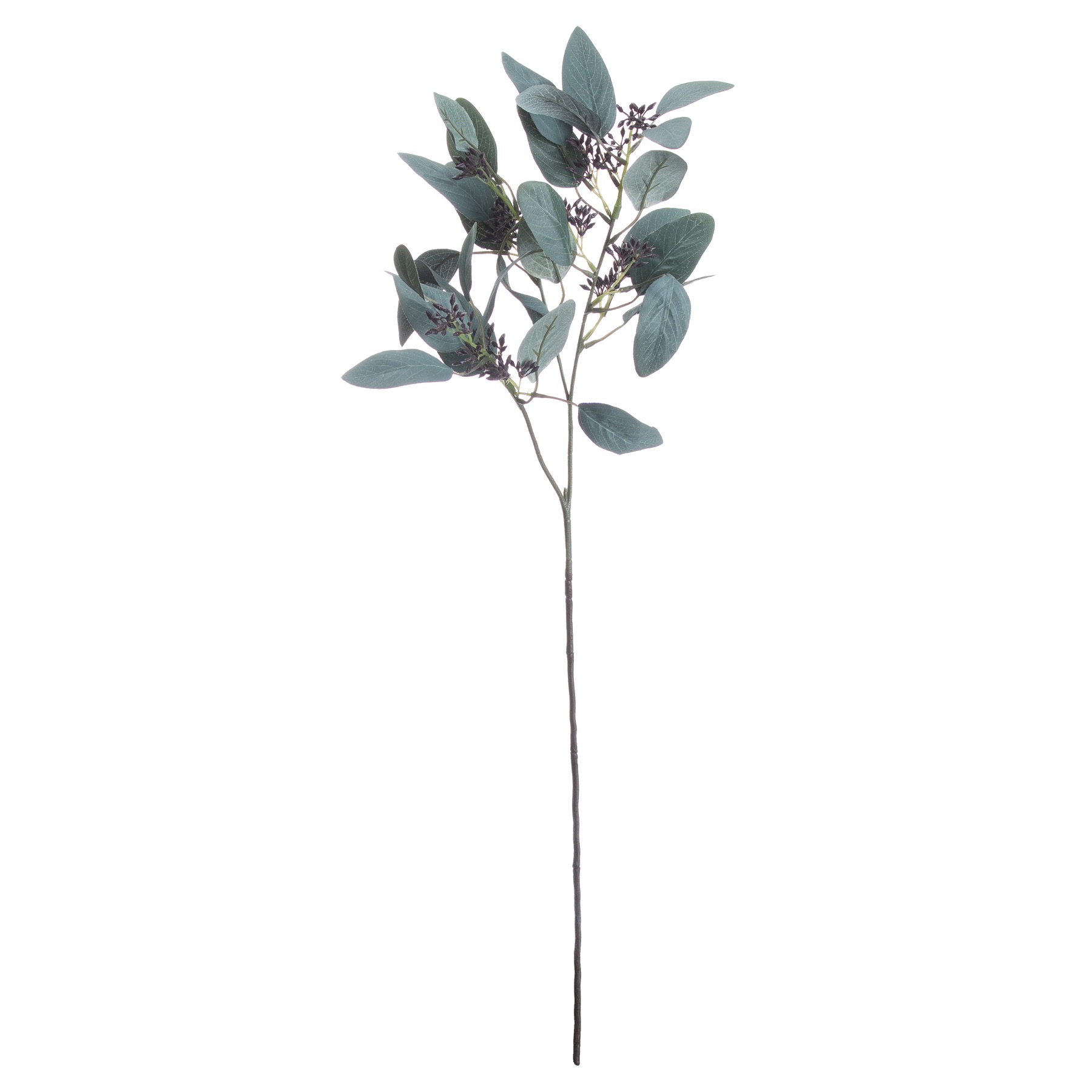 Seeded Eucalyptus Stem - Green