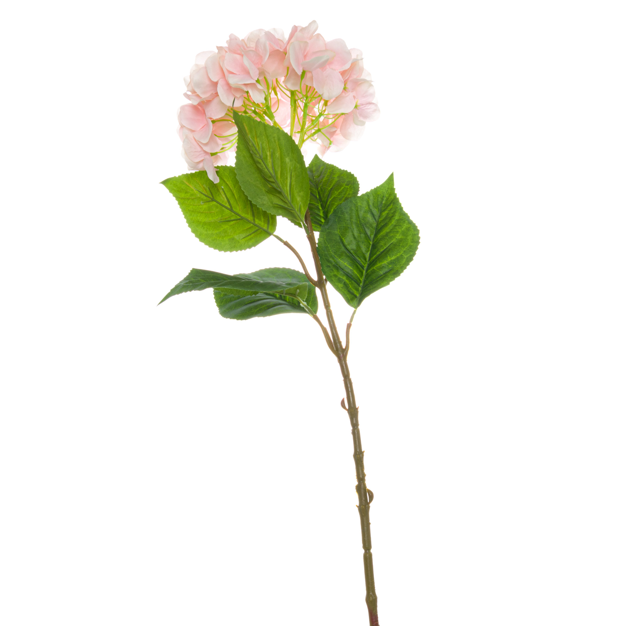 Single Hydrangea - Pink