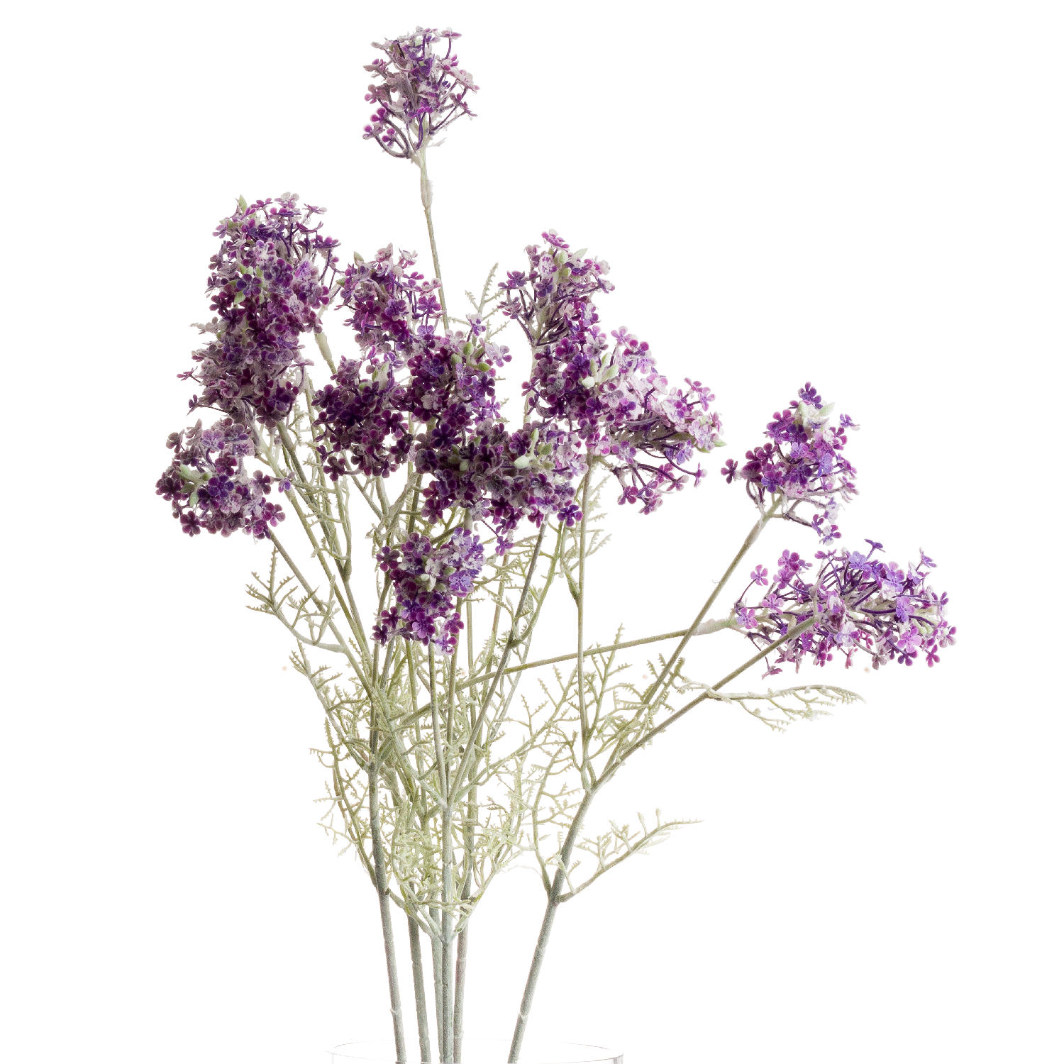 Meadow Flower - Purple