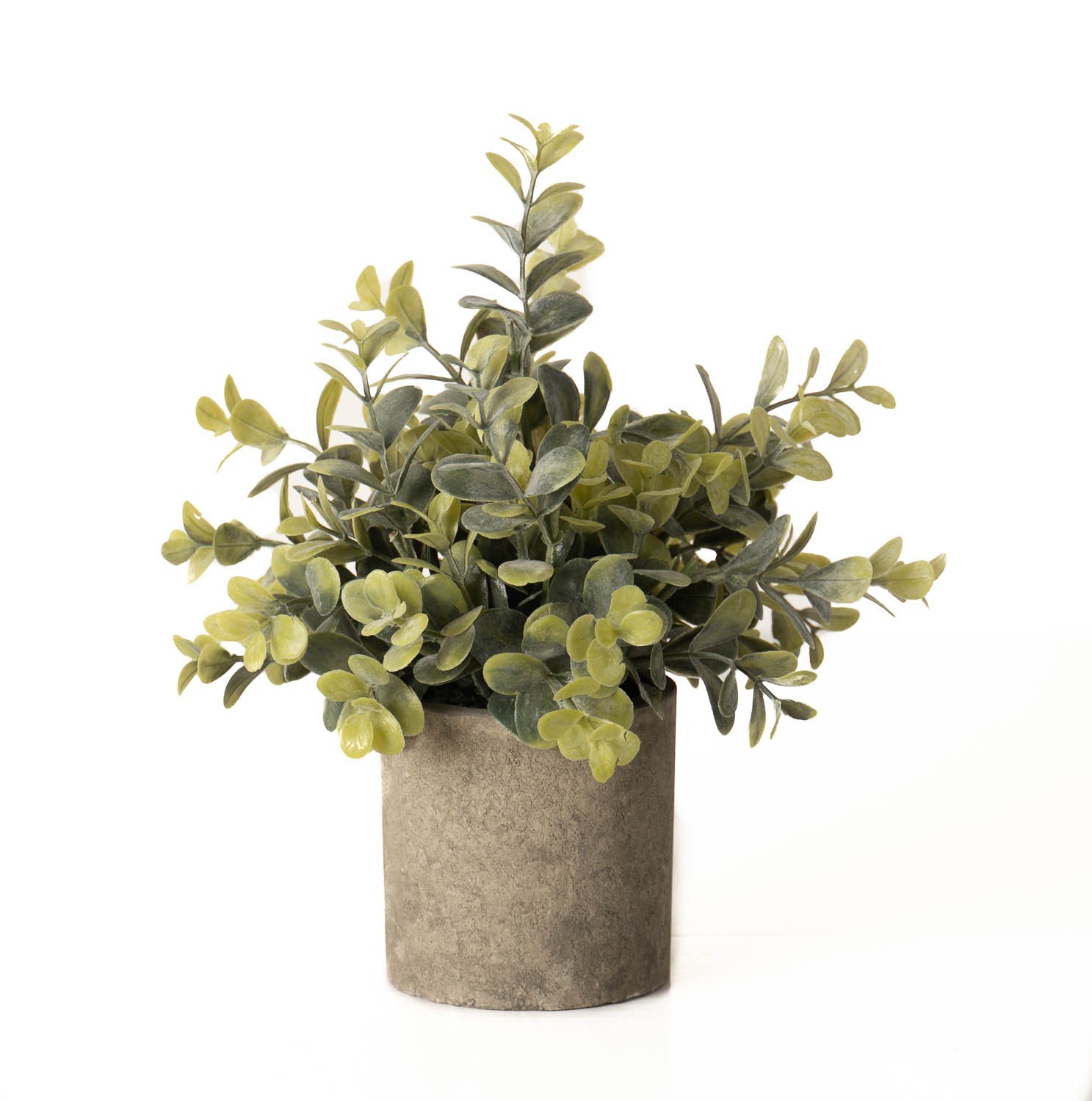 Stone Effect Eucalyptus Plant Pot - Green