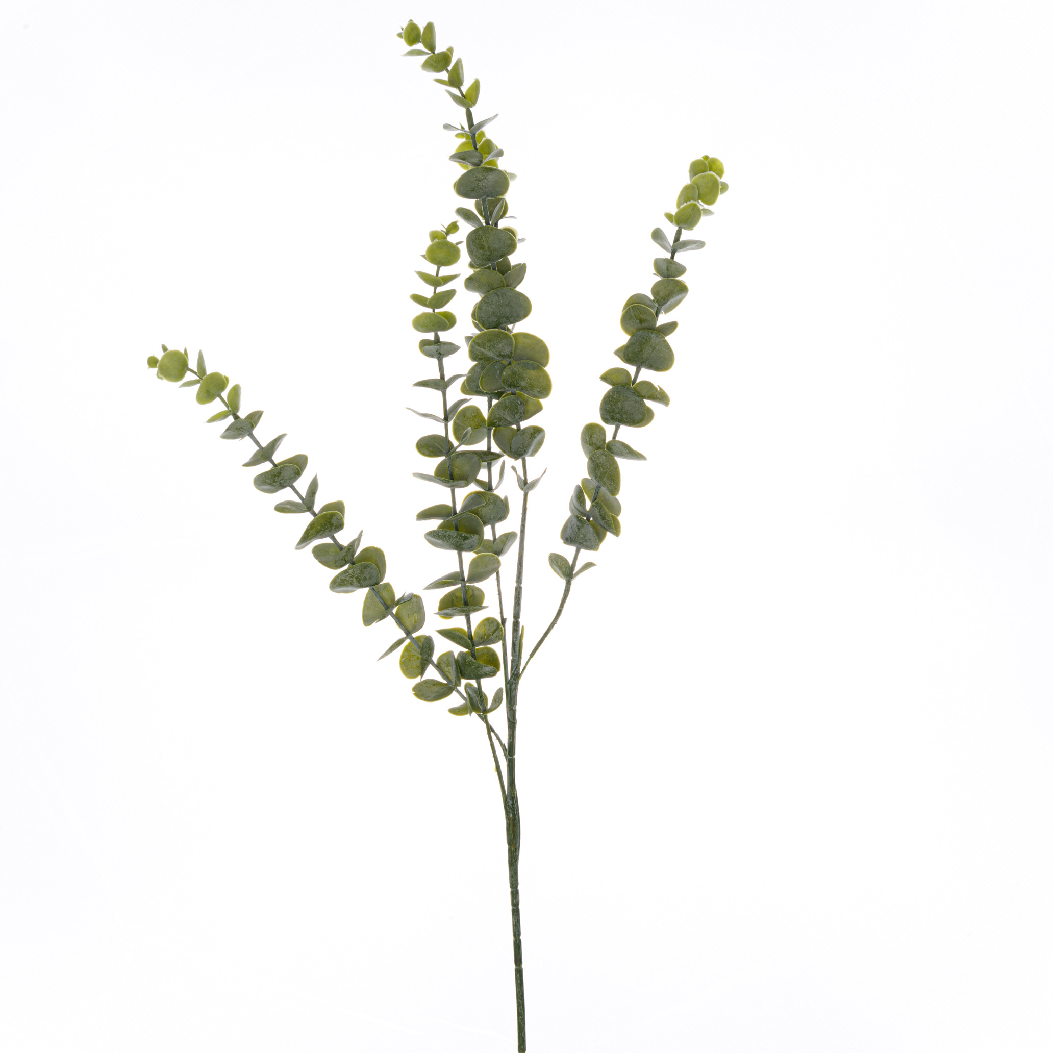 Gunnii Eucalyptus Spray - Green