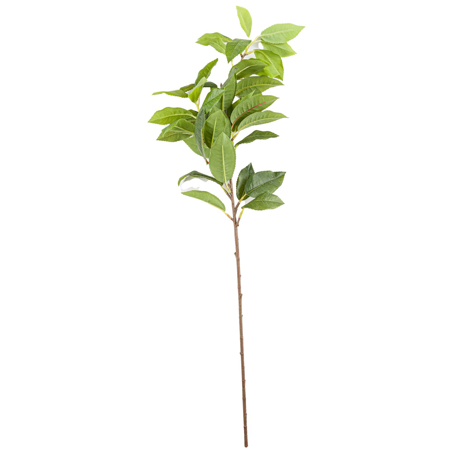 Laurel Leaf Spray - Green