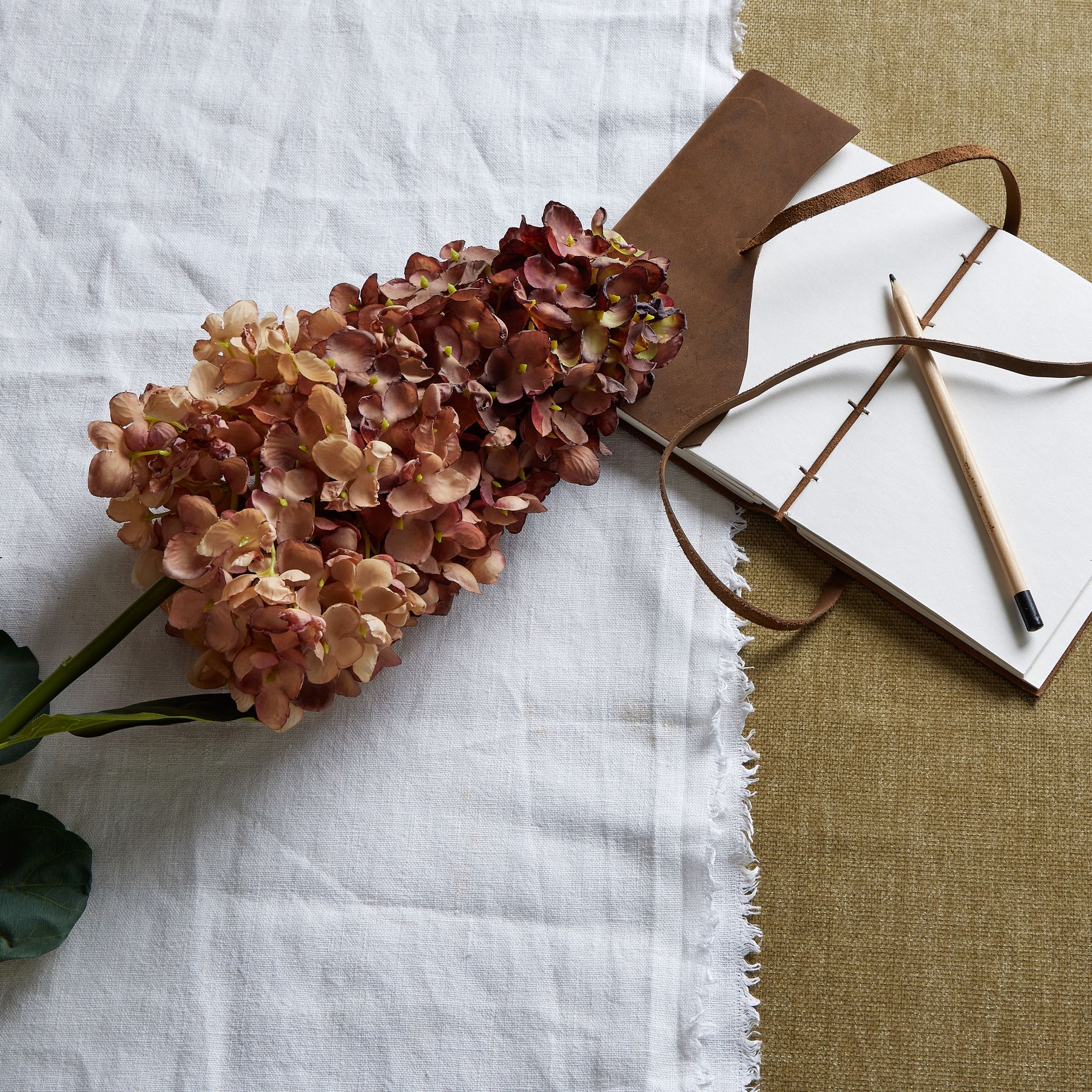 Spear Hydrangea - Burgundy