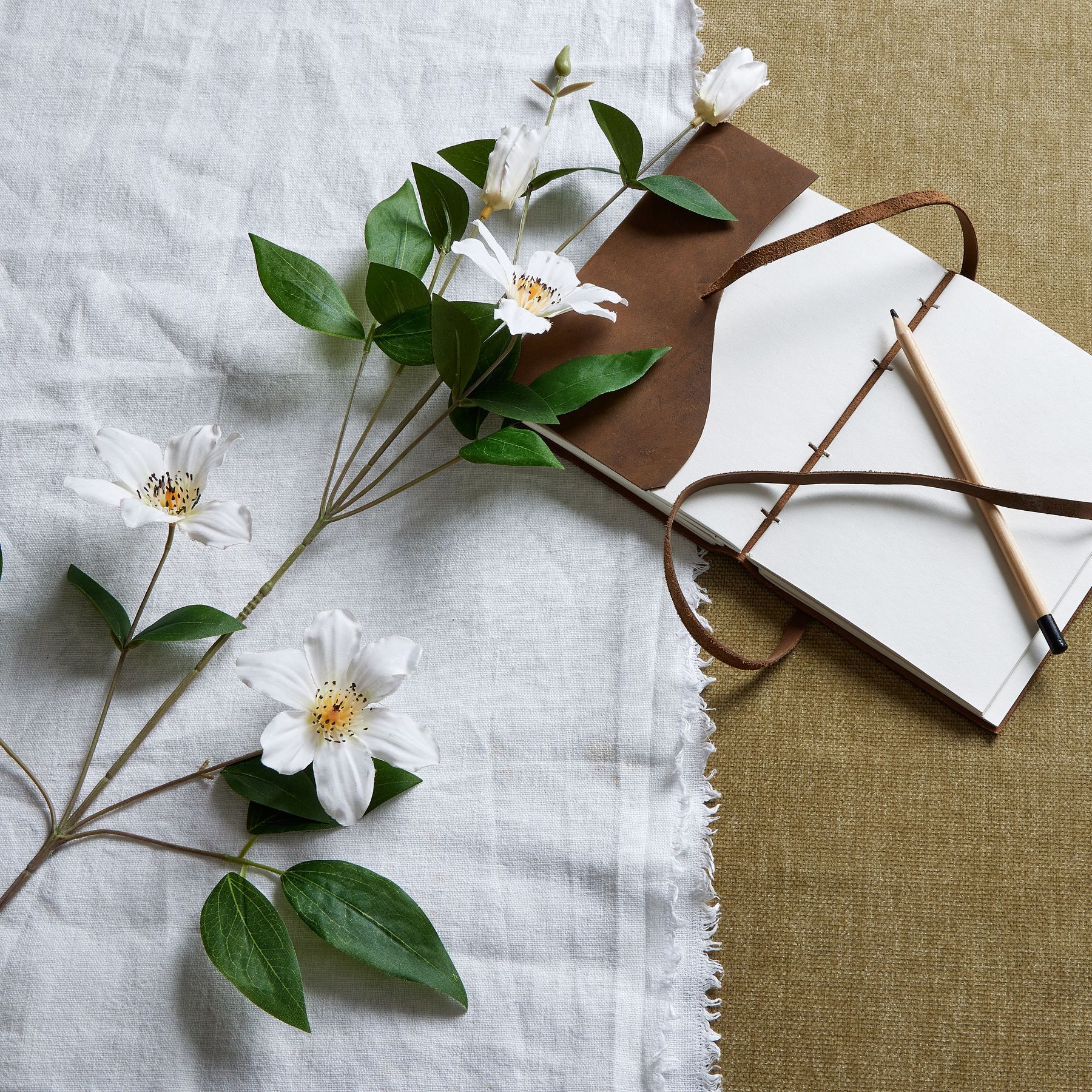 Florida Clematis - White