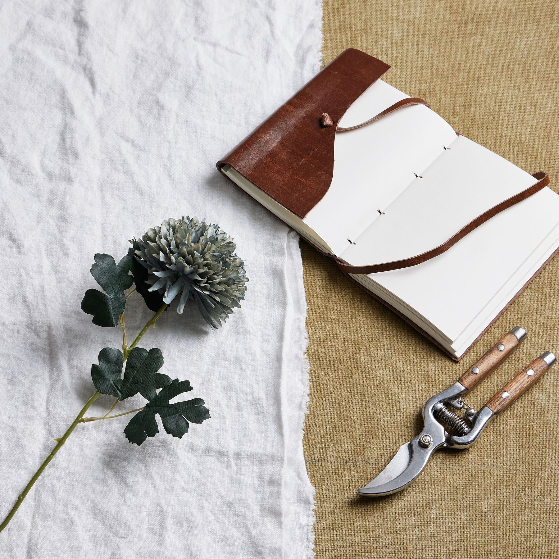 Pale Chrysanthemum - Green Blue
