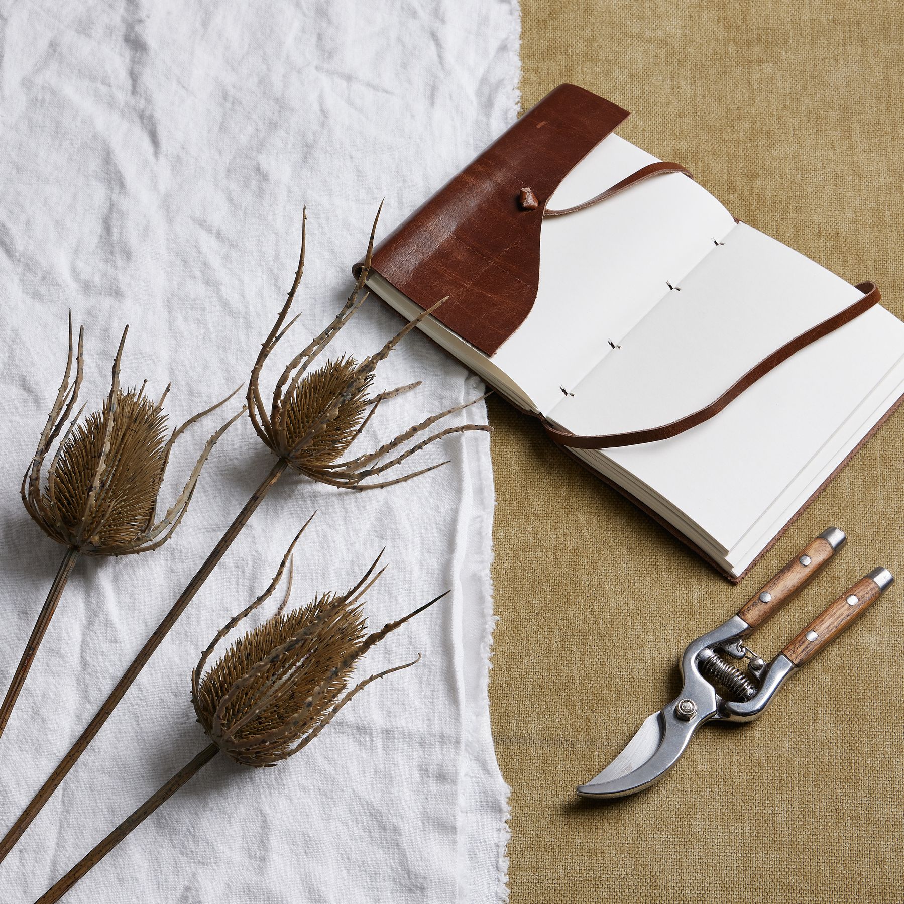 Large Triple Teasle Stem - Brown