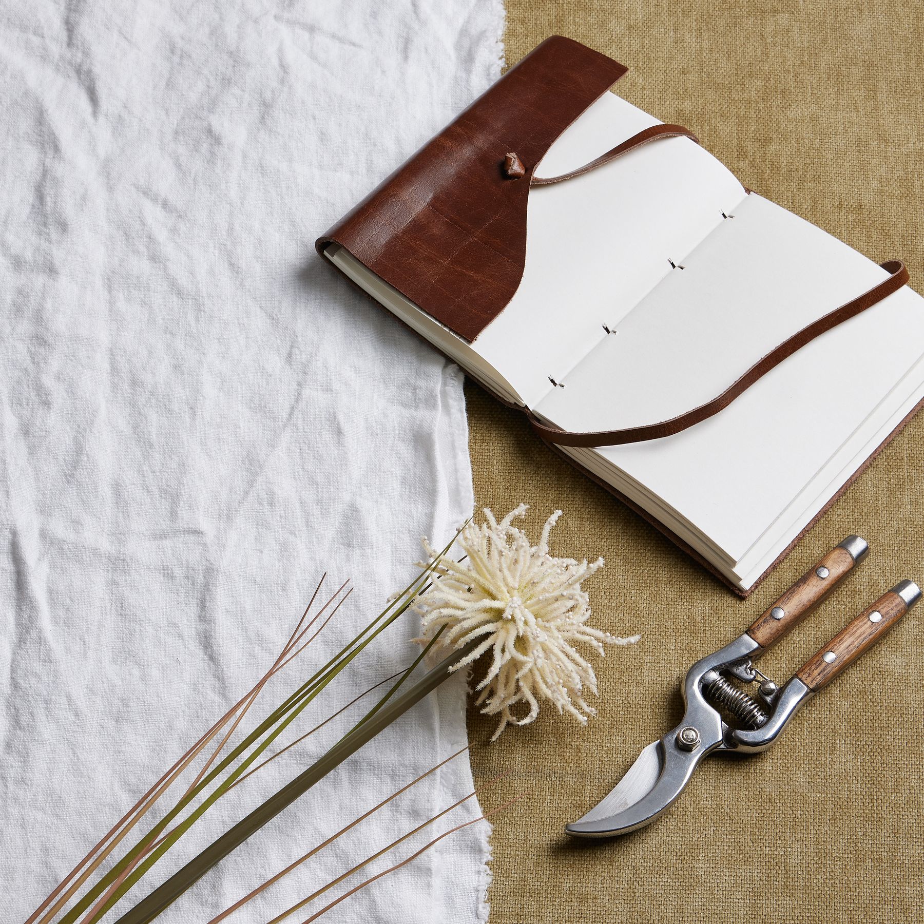 Aster Spider Chrysanthemum Stem - Cream