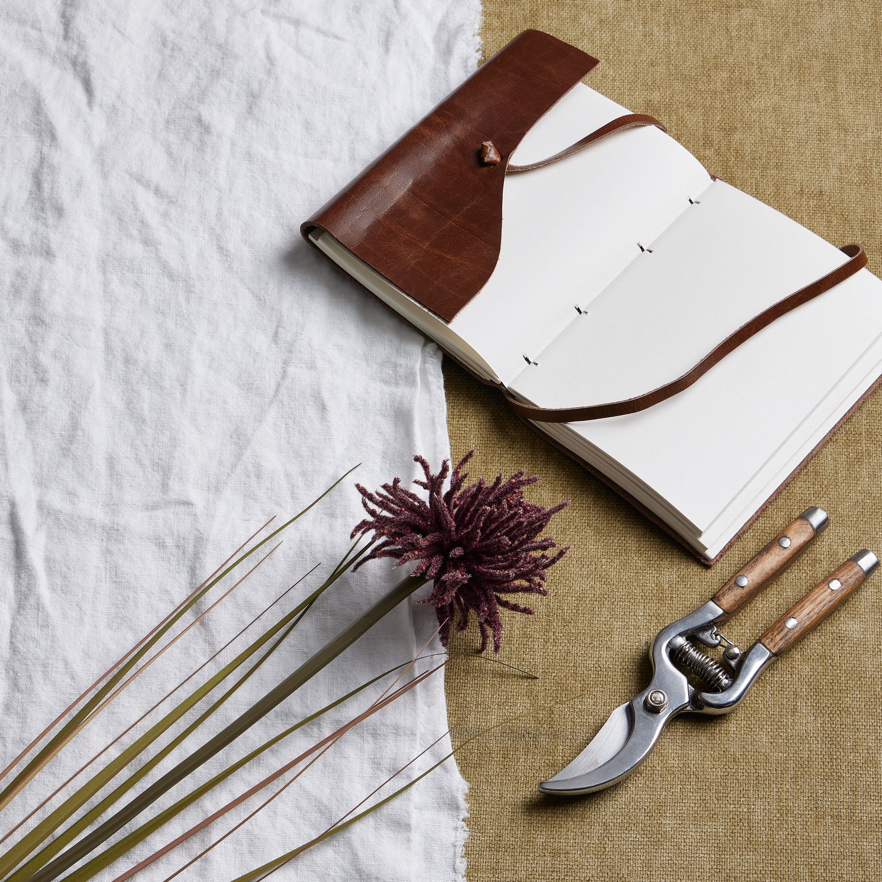 Aster Spider Chrysanthemum Stem - Burgundy