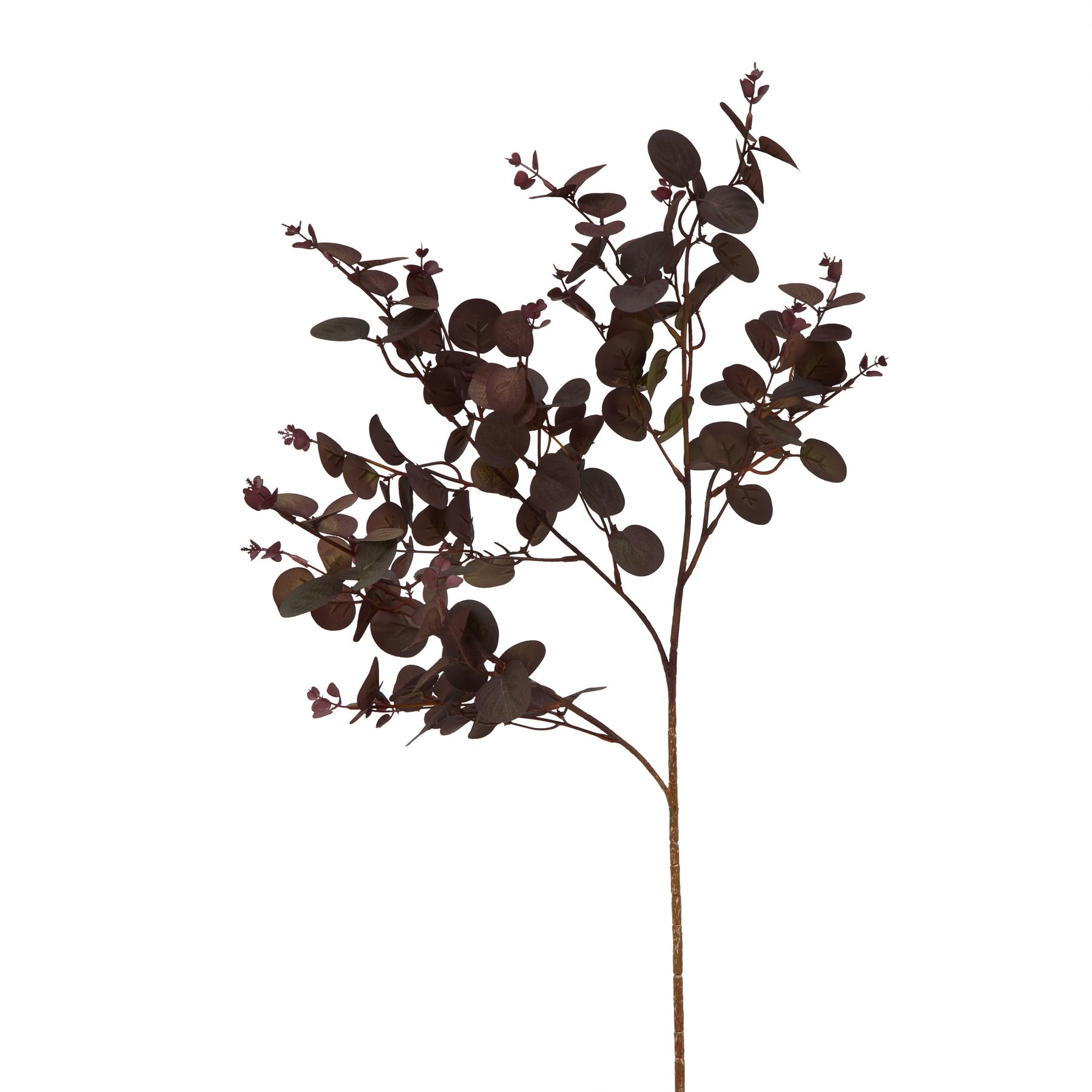 Burgo Eucalyptus Bunch