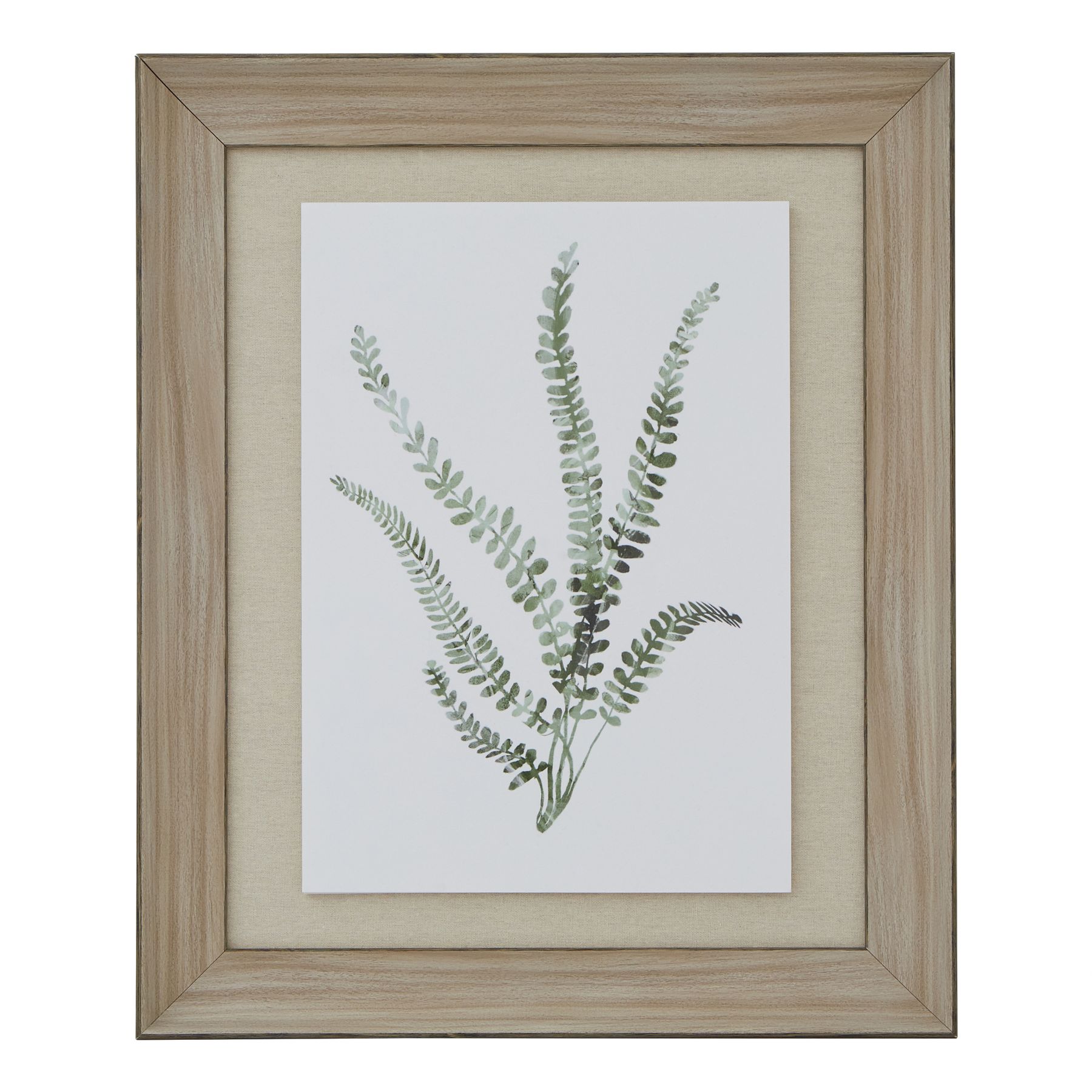 Watercolour Delicate Fern Washed Wood Frame
