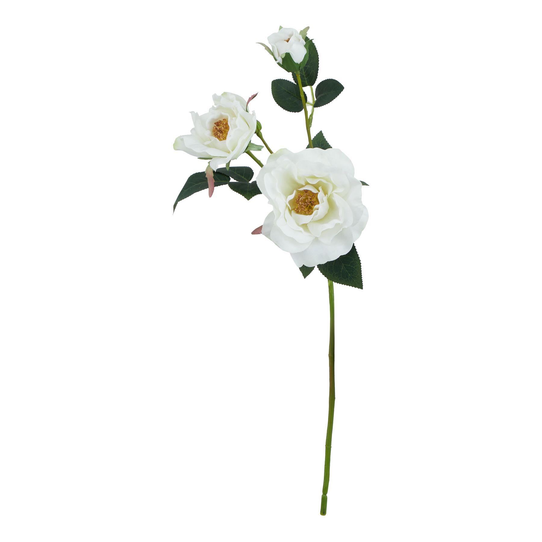 Natural Outdoor Collection White Tea Rose
