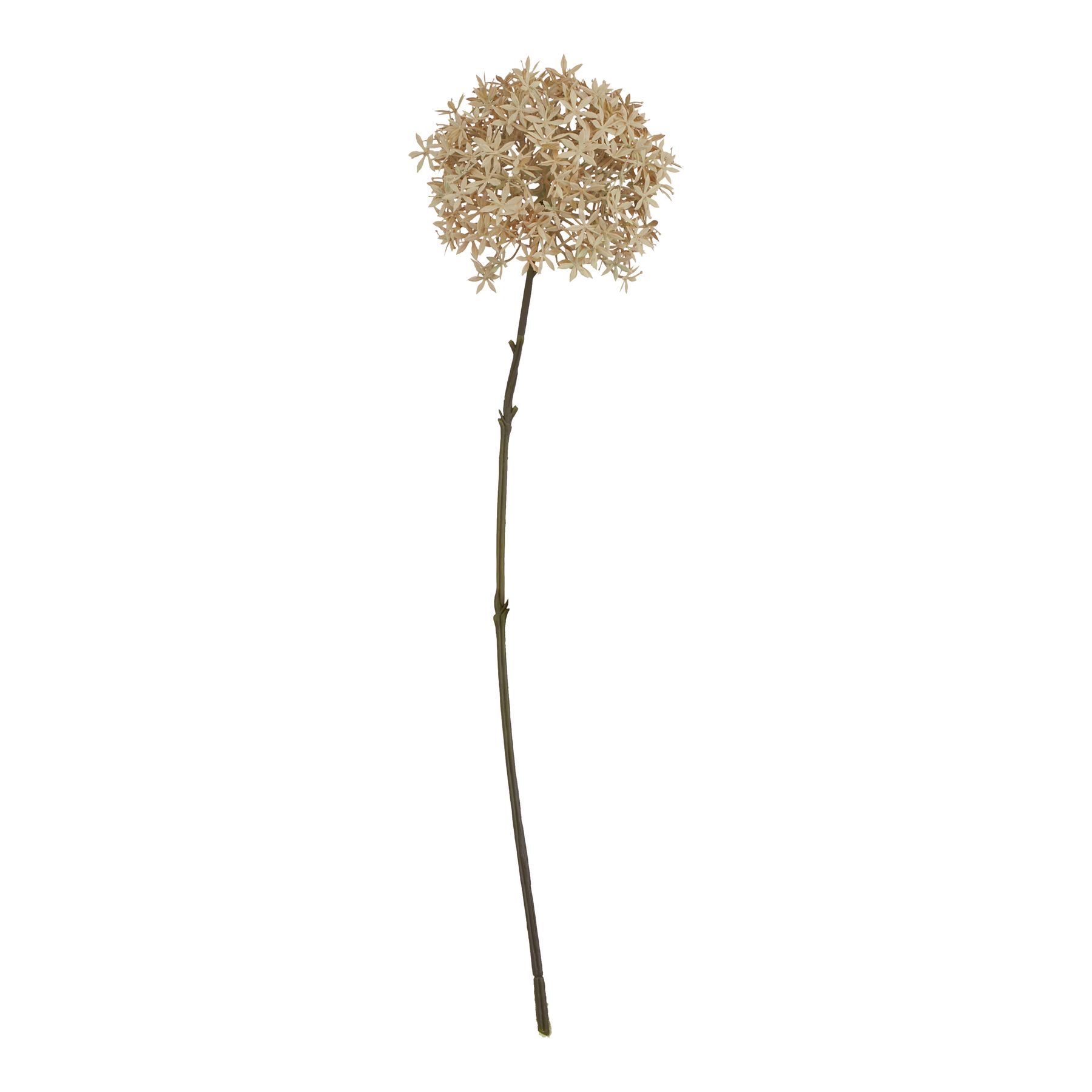 Fabric Coffee Allium
