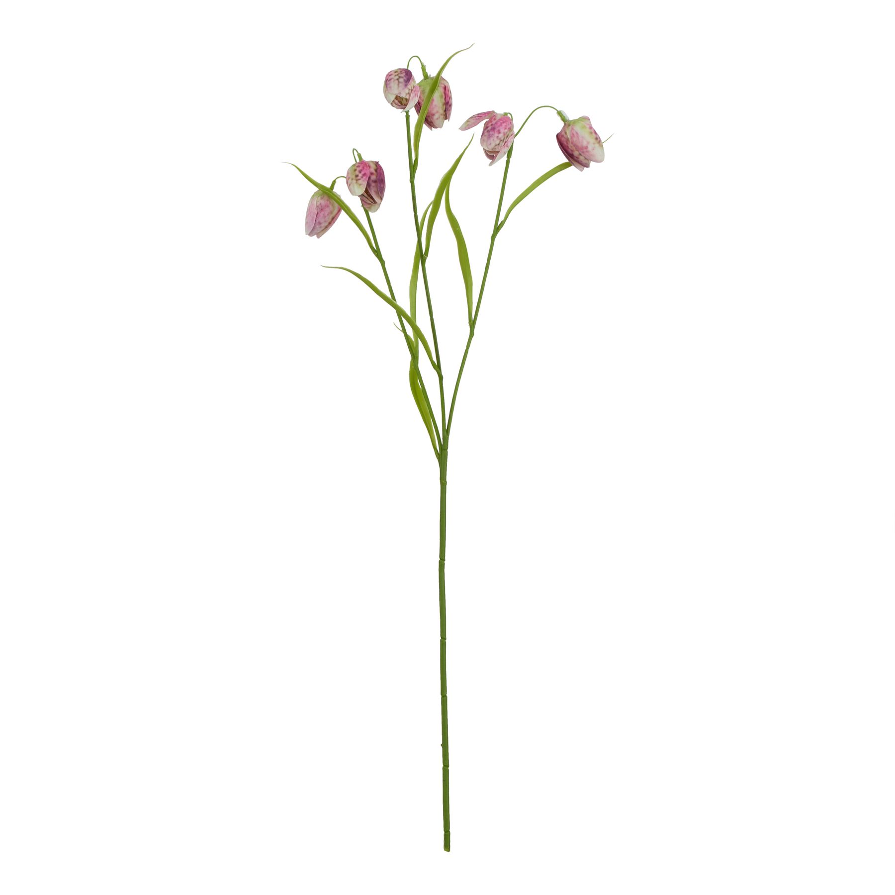 Natural Outdoor Collection Purple - Fritillaria Stem