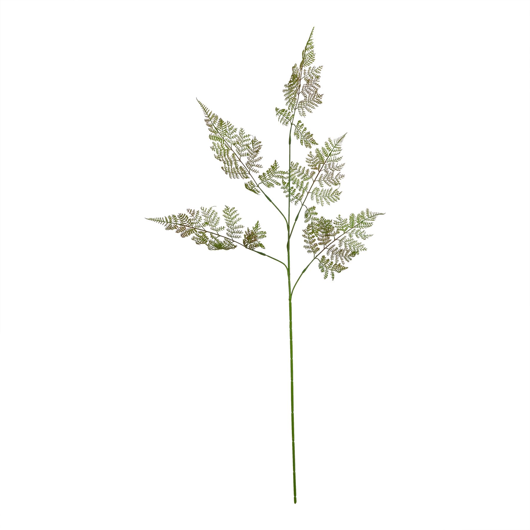 Natural Outdoor Collection Large Bracken Fern Spray