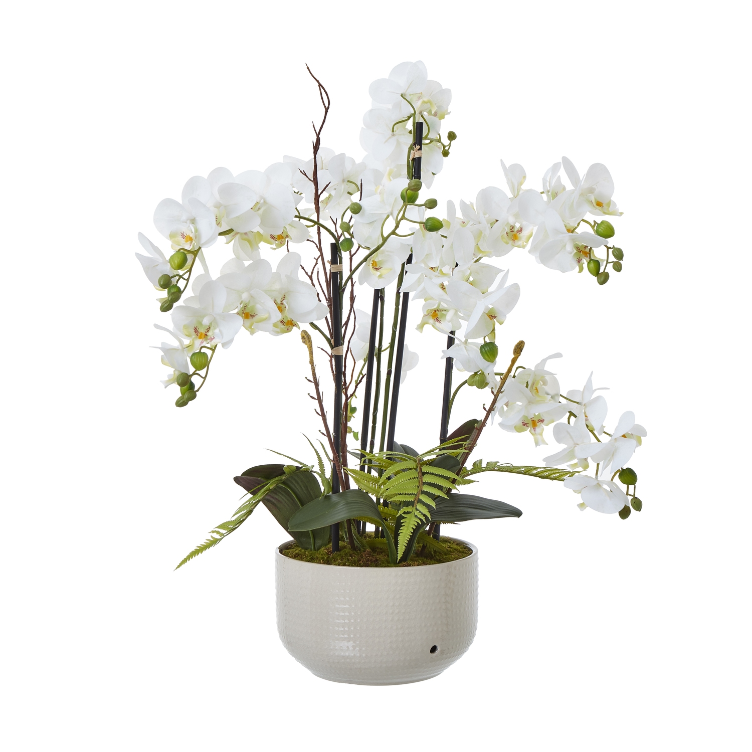 White Orchid In Ceramic Pot - Large